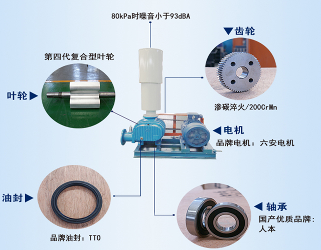 章丘豐源機械羅茨鼓風機產品結構說明圖 章丘豐源機械羅茨鼓風機產品結構說明圖