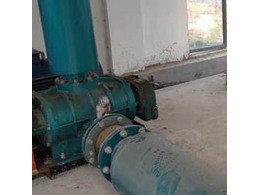章丘豐源FSR250G羅茨風機在惠州市廣豐農牧運行成功！